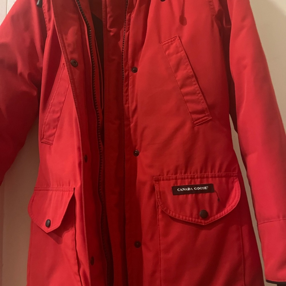 Red Canada goose.